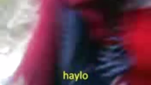 A lányok nézni a barátom, baszd meg a seggem