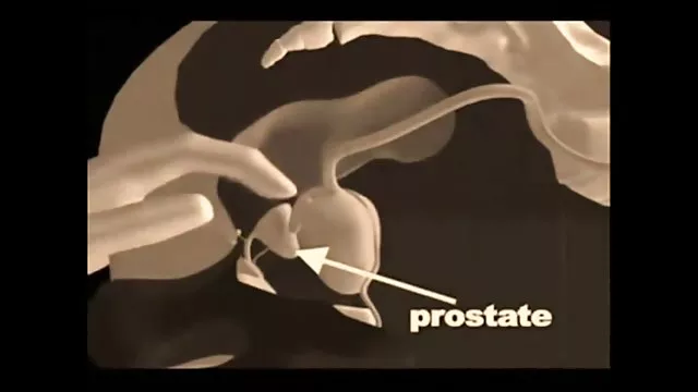 Miranda megdörzsölte a vagina. nagy méretű Vibrátor