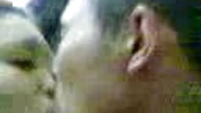Aranyos bébi Casey szenvedélyesen Baszik idegenekkel az erdőben