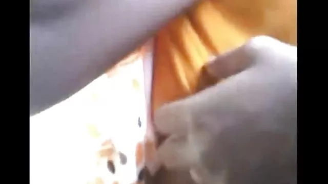 Lily rák kell egy kakas a konyhában