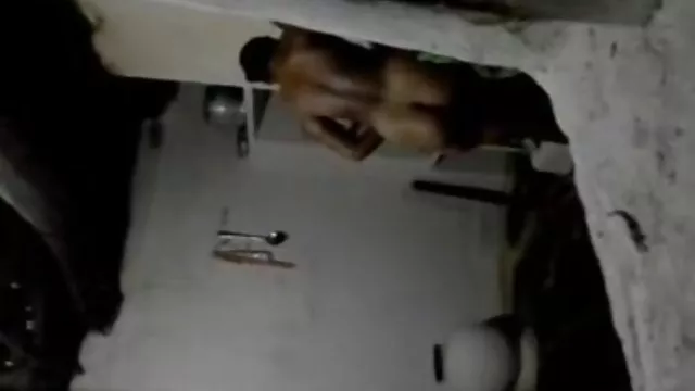 IMG a proshmandovka meleg csődör