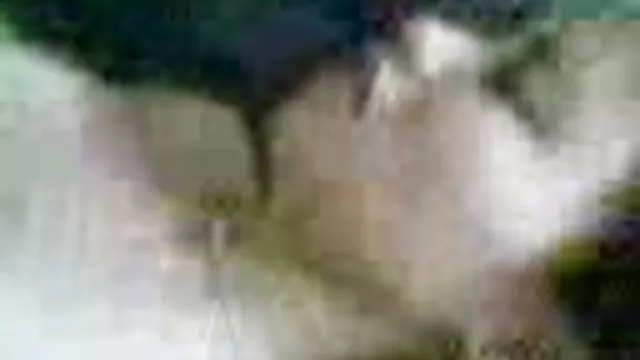 Három szenvedélyes párok dugás szex közben fél